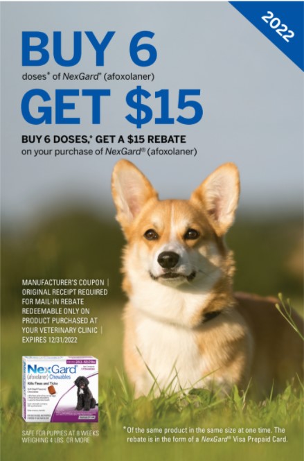 Nexgard 2024 chewables coupon