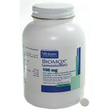 Biomox Tablets